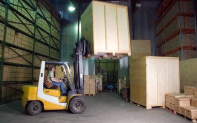 Plant Relocations Done Right