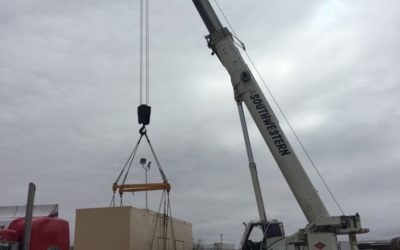 How A Plant Relocation Works