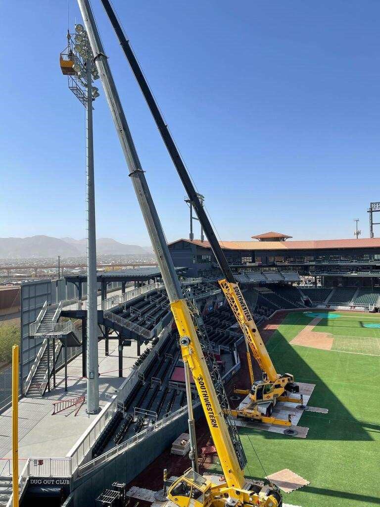 rented cranes for the chihuahuas